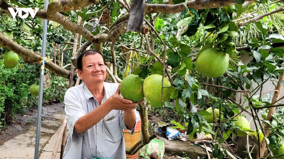 Fruit exports to China set to surge as pomelo and lemon gain market access